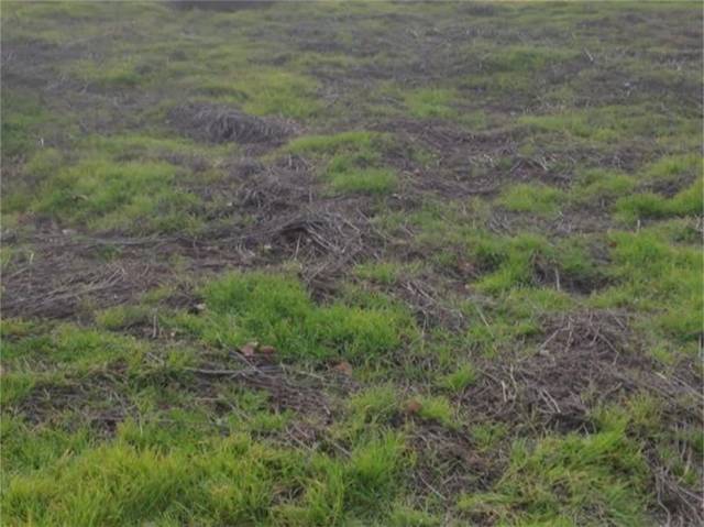 Terreno en Venta en Aldeamayor de San Martín en Aldeamayor de San Martín