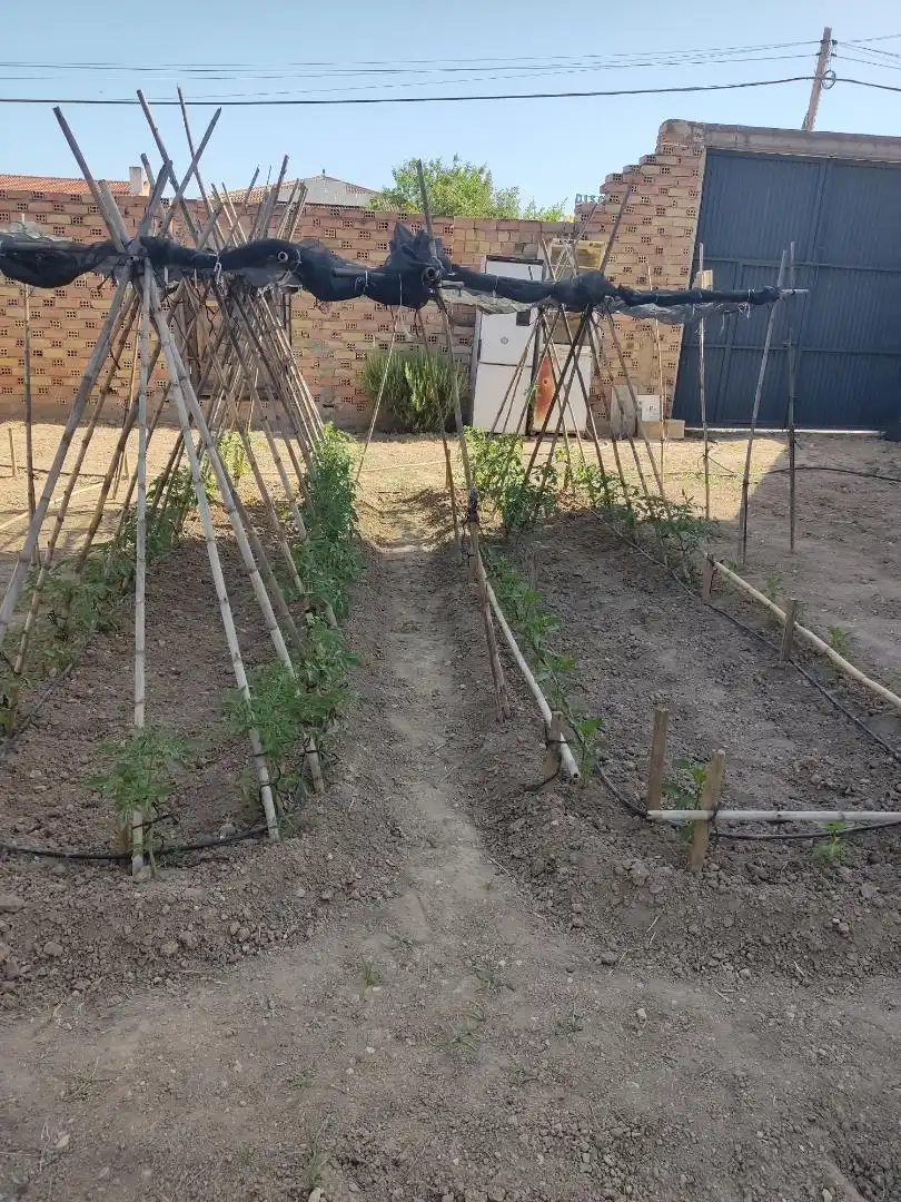 Jardín de Urbanizable en venta en Cijuela