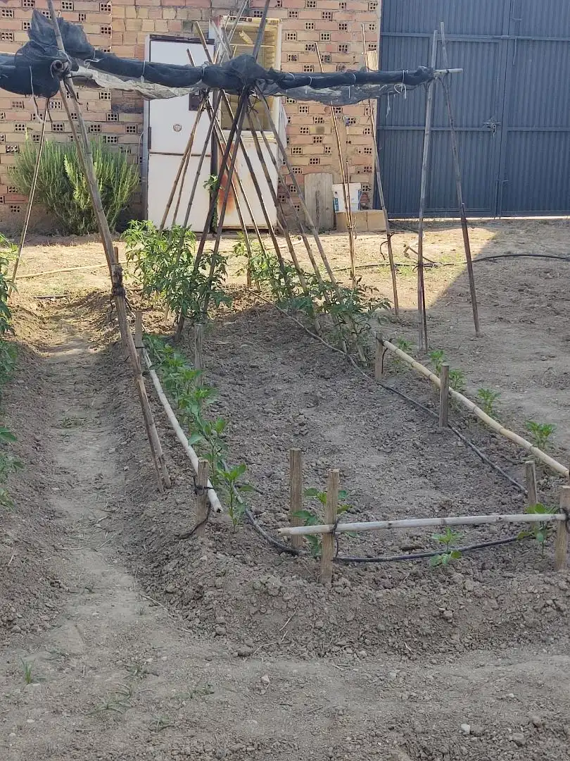Jardín de Urbanizable en venta en Cijuela