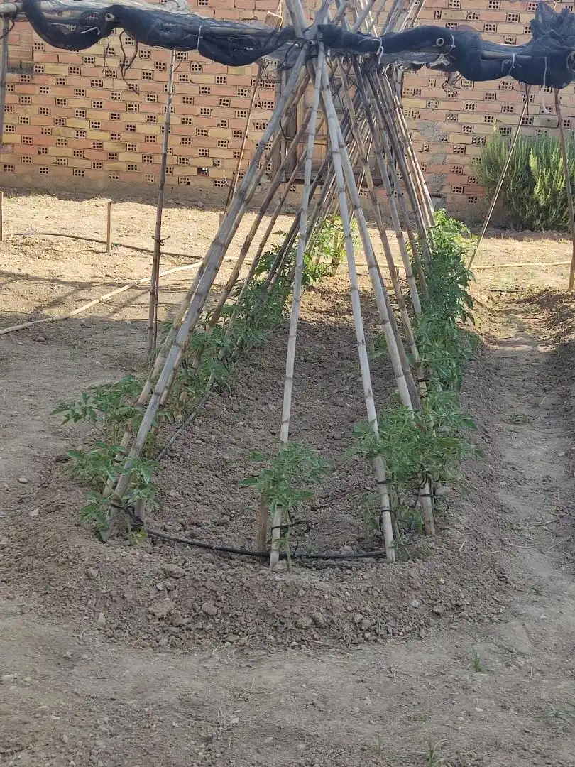 Jardín de Urbanizable en venta en Cijuela