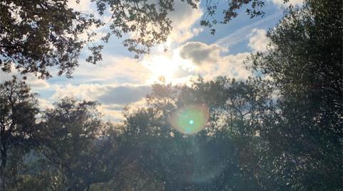 Country house for sale in Finca el Carrascoso, Higuera de la Sierra, Huelva - image 5 Photo 5 of Country house for sale in Finca el Carrascoso, Higuera de la Sierra, Huelva