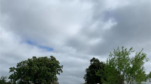 Country house for sale in Finca el Carrascoso, Higuera de la Sierra, Huelva - image 4 Photo 4 of Country house for sale in Finca el Carrascoso, Higuera de la Sierra, Huelva