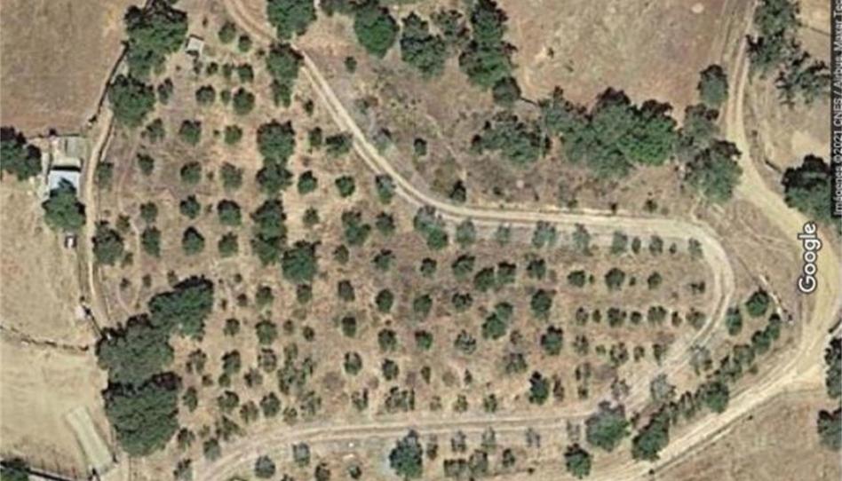 Country house for sale in Finca el Carrascoso, Higuera de la Sierra, Huelva - image 1 Photo 1 of Country house for sale in Finca el Carrascoso, Higuera de la Sierra, Huelva