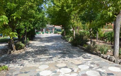 Fuentes agua decorativas Muebles, hoghar y jardín de segunda mano barato en  Valladolid Provincia