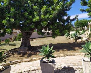 Jardí de Casa o xalet en venda en Vinaròs amb Aire condicionat, Terrassa i Piscina