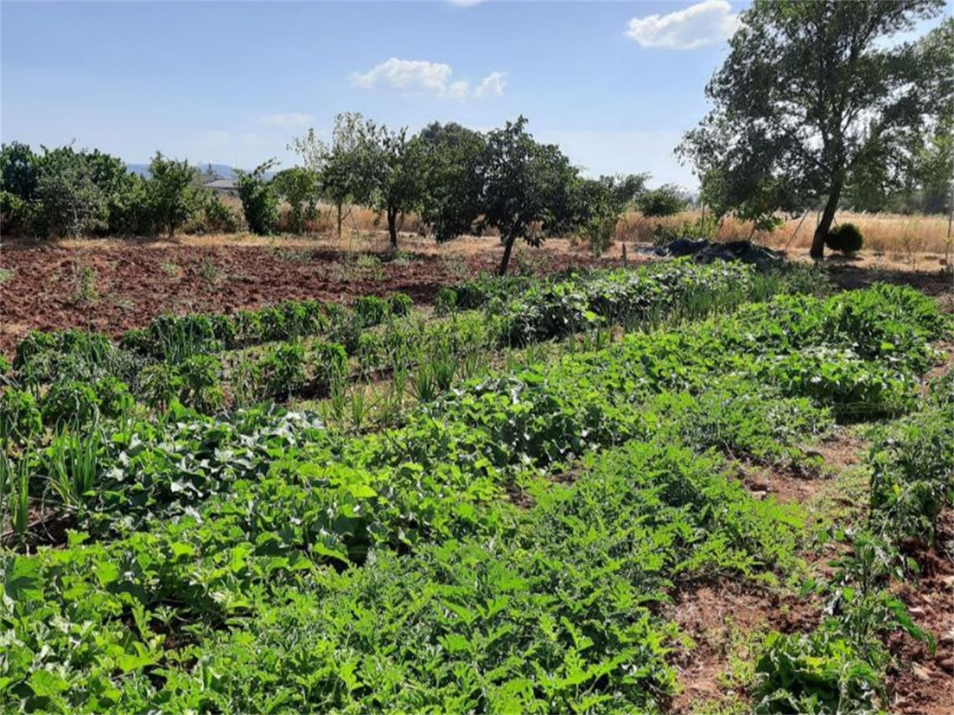Jardí de Finca rústica en venda en Retuerta del Bullaque amb Aire condicionat, Jardí privat i Terrassa