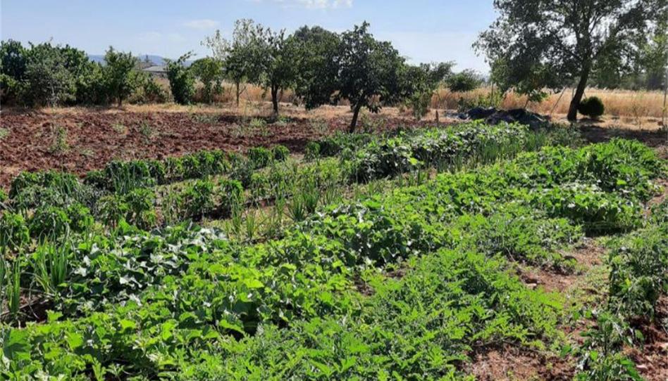 Foto 1 de Finca rústica en venda a Cm-4017, Retuerta del Bullaque, Ciudad Real
