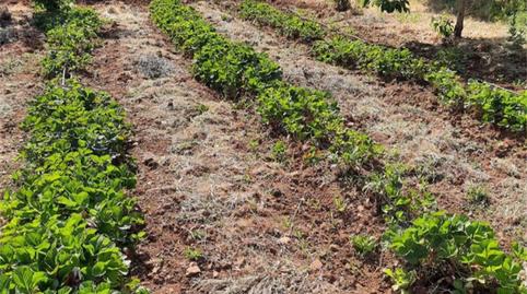 Foto 3 de Finca rústica en venda a Cm-4017, Retuerta del Bullaque, Ciudad Real