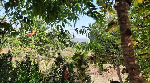 Foto 4 de Finca rústica en venda a Cm-4017, Retuerta del Bullaque, Ciudad Real