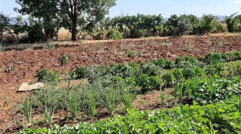 Foto 5 de Finca rústica en venda a Cm-4017, Retuerta del Bullaque, Ciudad Real