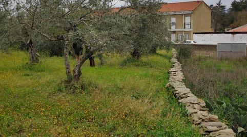 Single-family semi-detached for sale in Calle Daoíz y Velarde, 9, Malpartida de Plasencia, Cáceres - image 4 Photo 4 of Single-family semi-detached for sale in Calle Daoíz y Velarde, 9, Malpartida de Plasencia, Cáceres