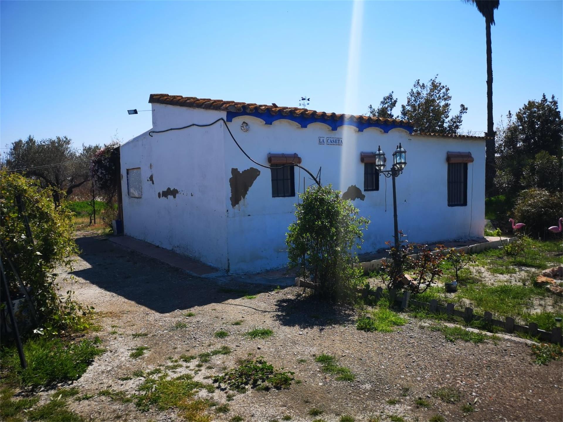 Vista exterior de Piso en venta en Castellón de la Plana / Castelló de la Plana con Jardín privado, Terraza y Amueblado