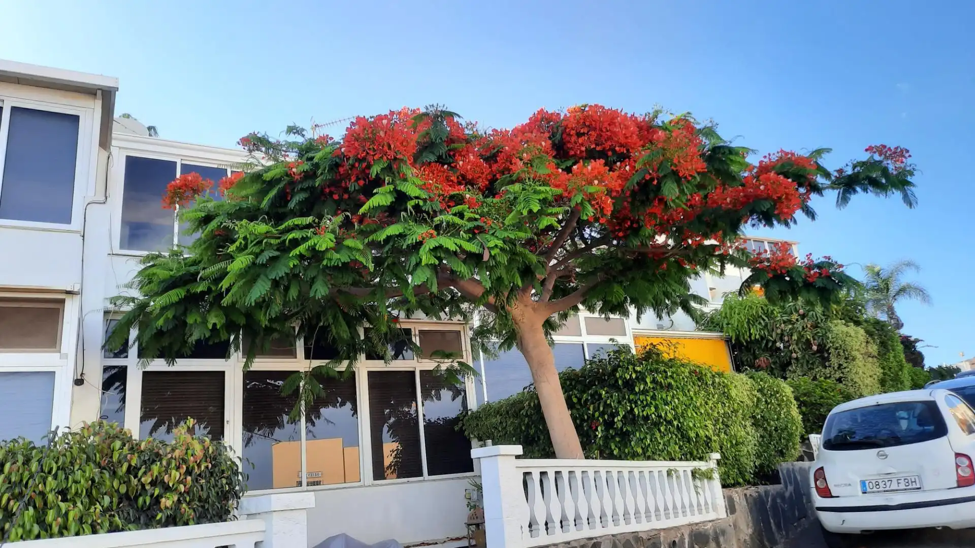 Jardí de Apartament en venda en Mogán amb Jardí privat, Terrassa i Piscina