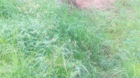 Photo 4 of Land for sale in Barrio Naveda, Renedo, Piélagos