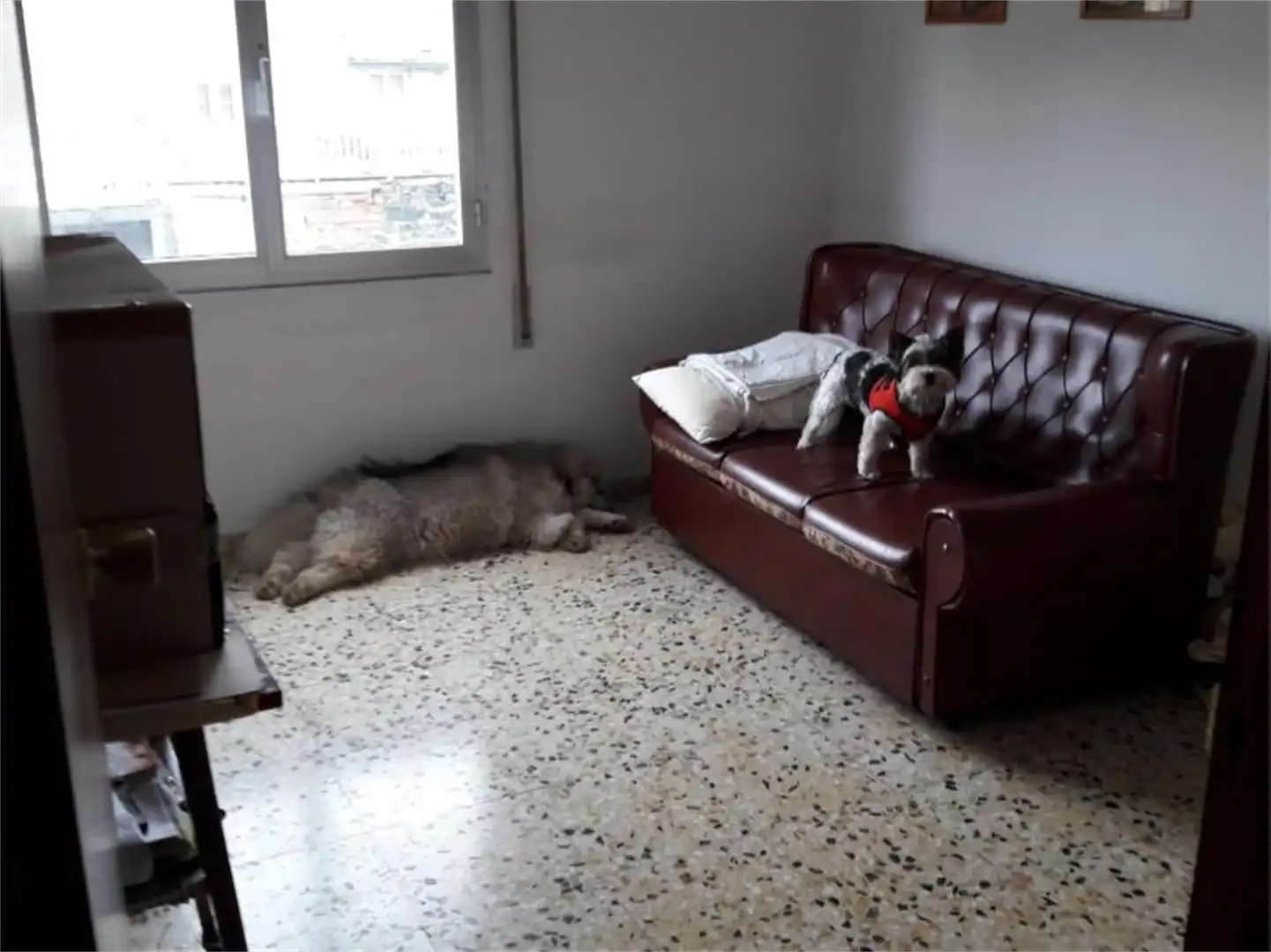Einfamilien-Reihenhaus zum Verkauf in Veiga de Brañas, Pedrafita do Cebreiro Schlafzimmer von Einfamilien-Reihenhaus zum Verkauf in Pedrafita do Cebreiro mit Heizung, Möbliert und Balkon