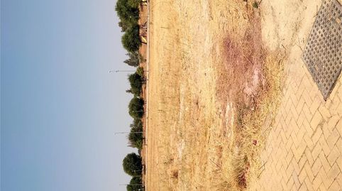 Foto 4 de Terreno en venta en Calle Rosa Chacel, 28, Huévar del Aljarafe, Sevilla