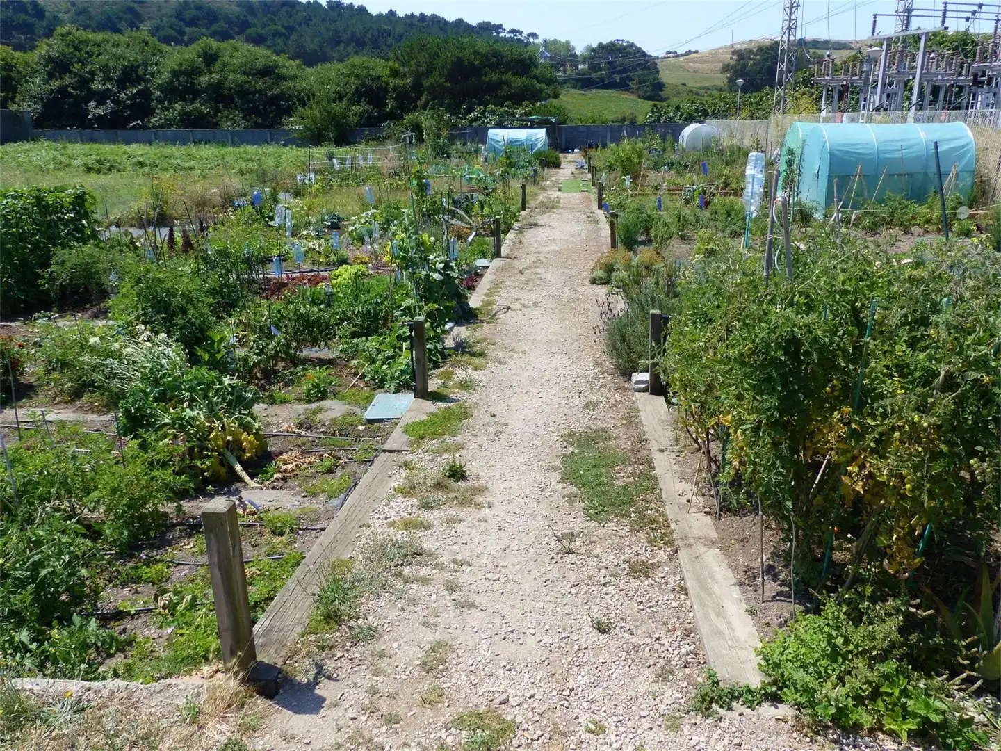 Garten von Grundstücke zum Verkauf in A Coruña Capital 