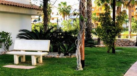 Flat for sale in Residencial la Entrada, Punta Prima, Alicante - image 2 Photo 2 of Flat for sale in Residencial la Entrada, Punta Prima, Alicante