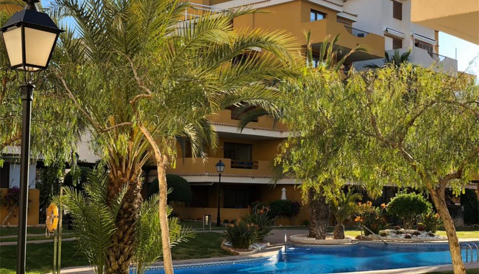 Flat for sale in Residencial la Entrada, Punta Prima, Alicante - image 1 Photo 1 of Flat for sale in Residencial la Entrada, Punta Prima, Alicante