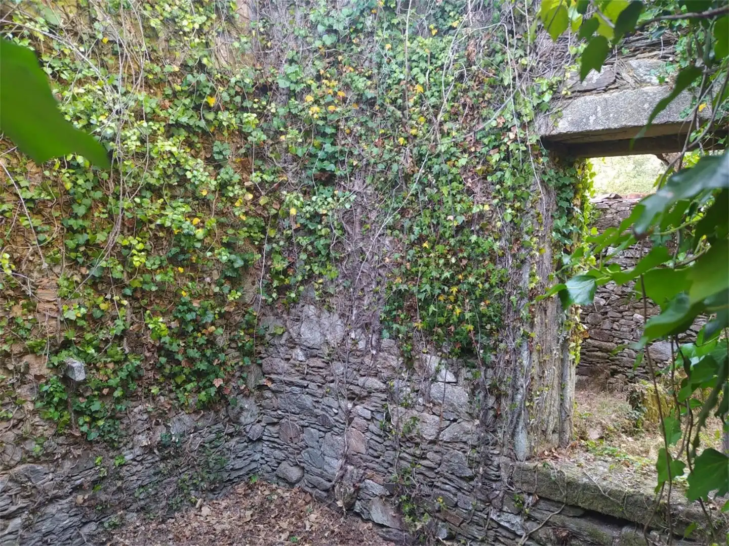 Garten von Bebaubares Gelände zum Verkauf in Lousame