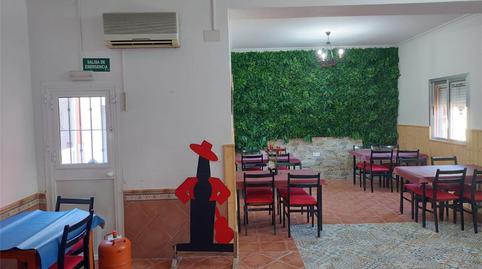 Finca rústica en venda a Avenida de Sevilla, Los Palacios y Villafranca, Sevilla - imatge 3 Foto 3 de Finca rústica en venda a Avenida de Sevilla, Los Palacios y Villafranca, Sevilla