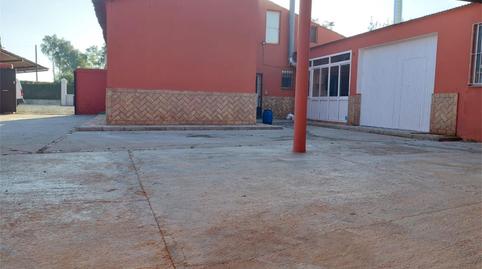 Finca rústica en venda a Avenida de Sevilla, Los Palacios y Villafranca, Sevilla - imatge 5 Foto 5 de Finca rústica en venda a Avenida de Sevilla, Los Palacios y Villafranca, Sevilla