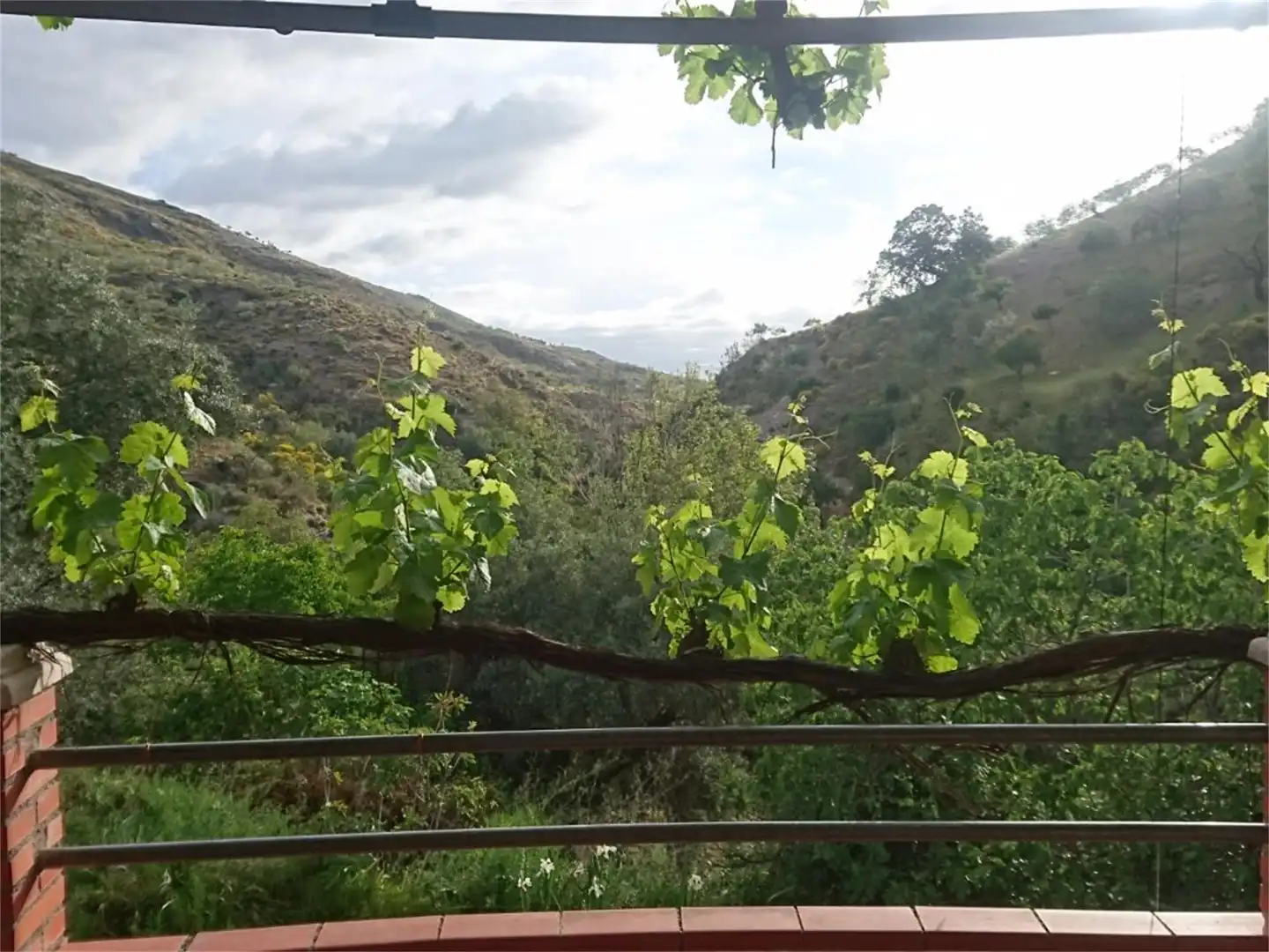 Finca rústica en venda a Gr-5202, Murtas Finca rústica en venda en Murtas