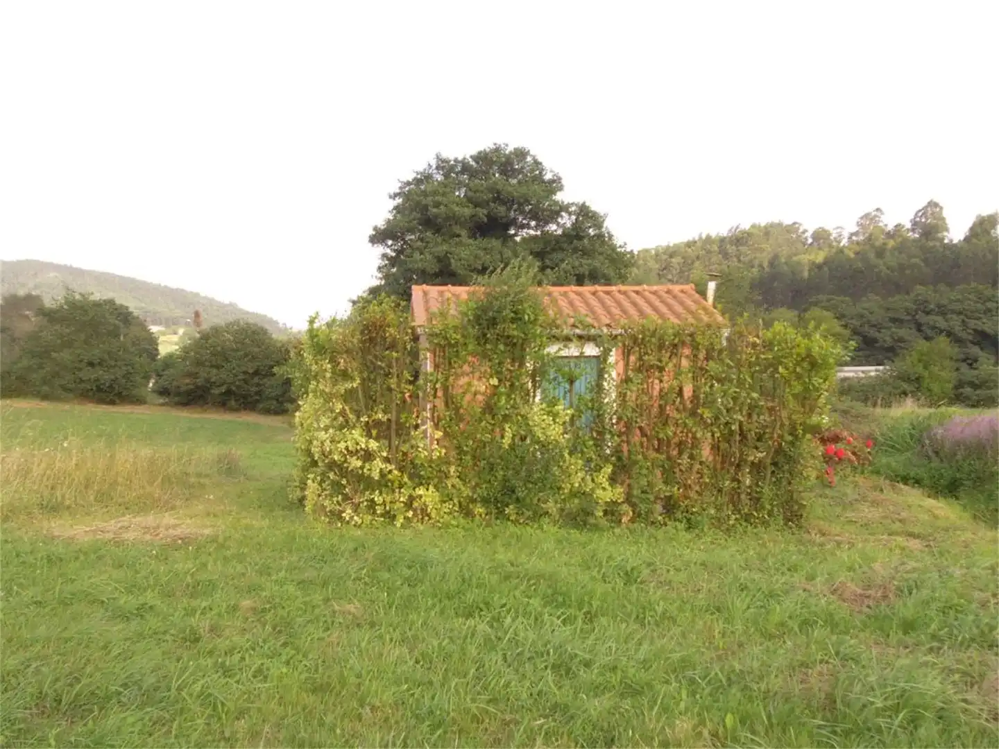 No Urbanitzable en venda a Villar de Abajo, Carreño Jardí de No Urbanitzable en venda en Carreño