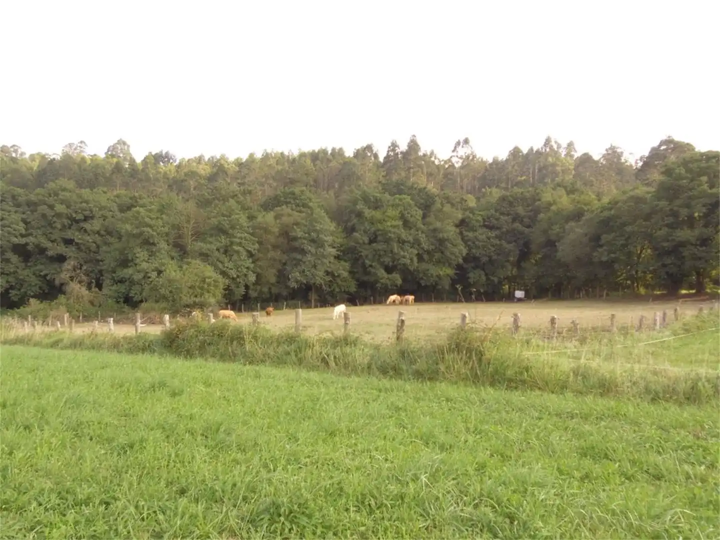 No Urbanitzable en venda a Villar de Abajo, Carreño No Urbanitzable en venda en Carreño