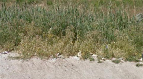 Piso en venta en Calle Magnolia, San Benito - Patiño, Murcia - imagen 4 Foto 4 de Piso en venta en Calle Magnolia, San Benito - Patiño, Murcia