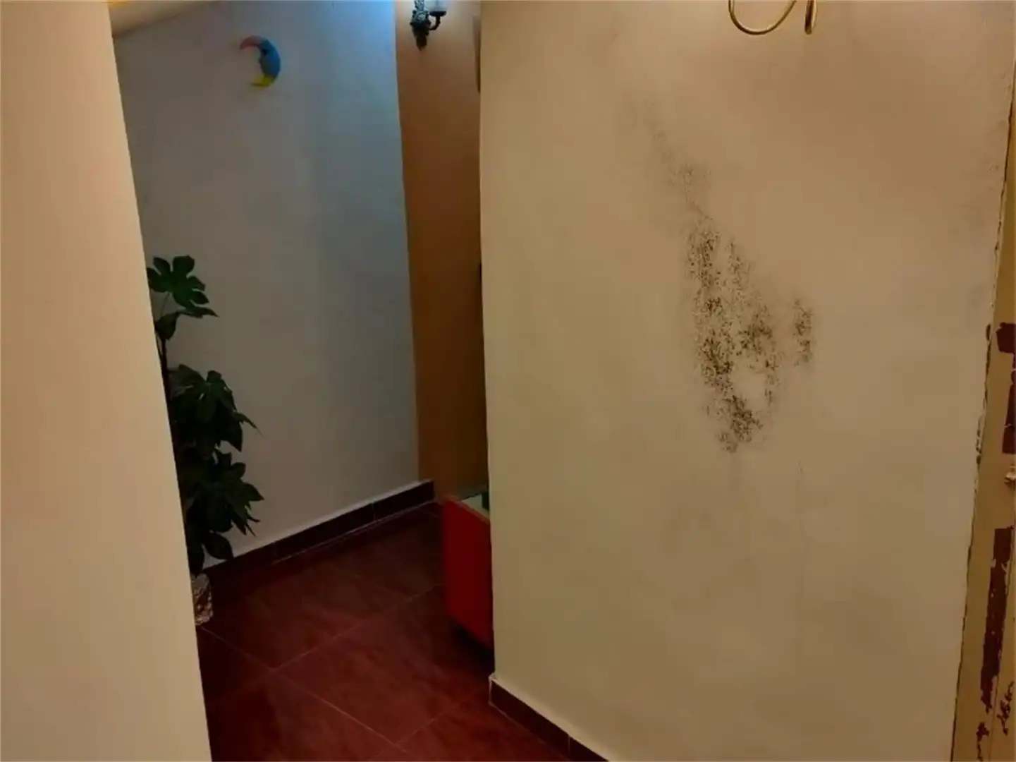 Casa adosada en venta en Higueruela