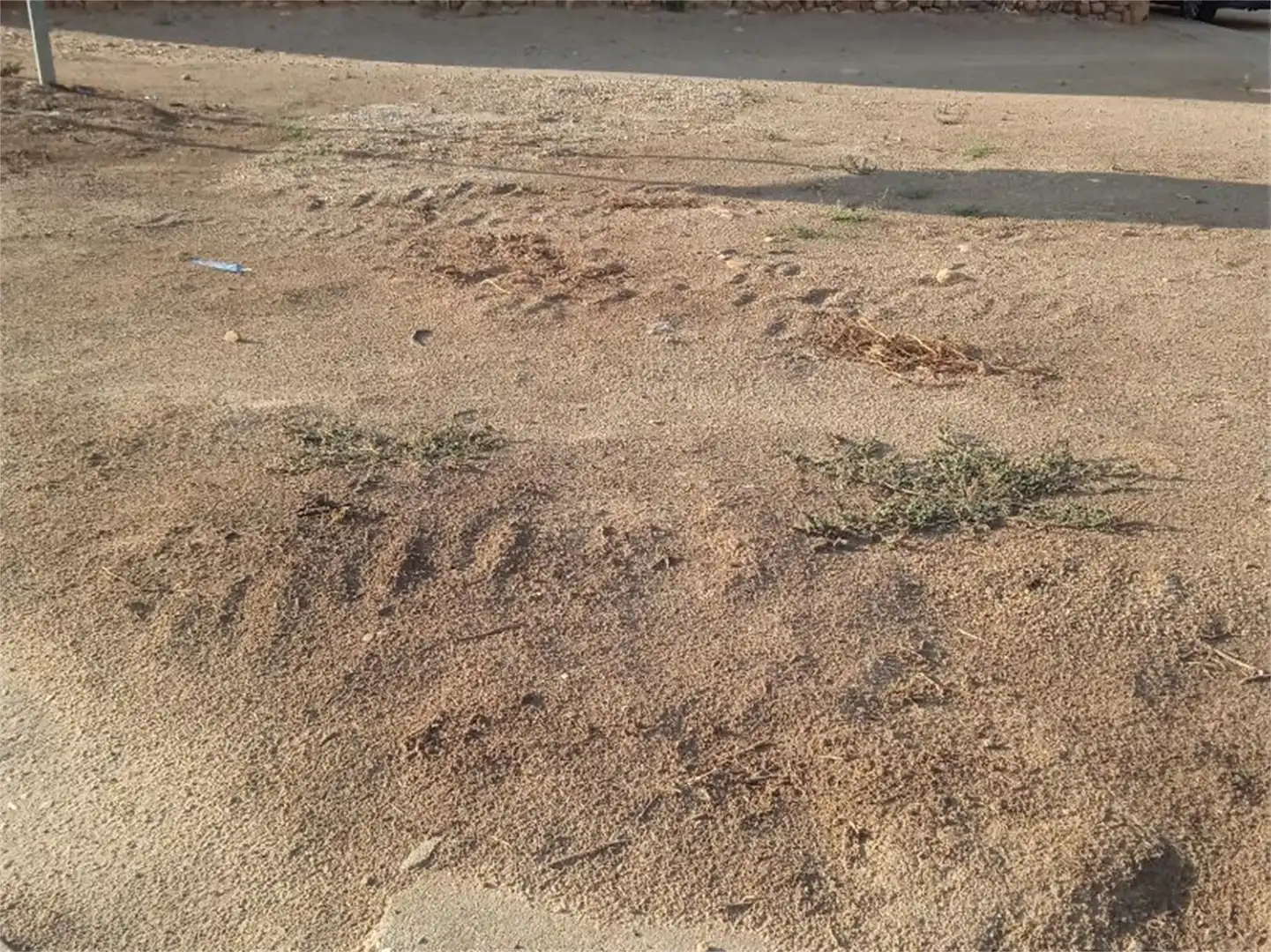 Grundstücke zum Verkauf in Avenida de Yunquera, 8, Málaga del Fresno Grundstücke zum Verkauf in Málaga del Fresno