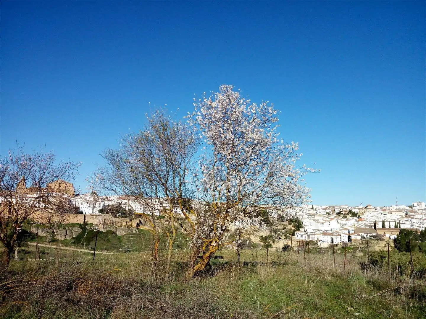 Finca rústica en venda a Calle Virgen de la Paz, Casco Histórico Vista exterior de Finca rústica en venda en Ronda amb Moblat