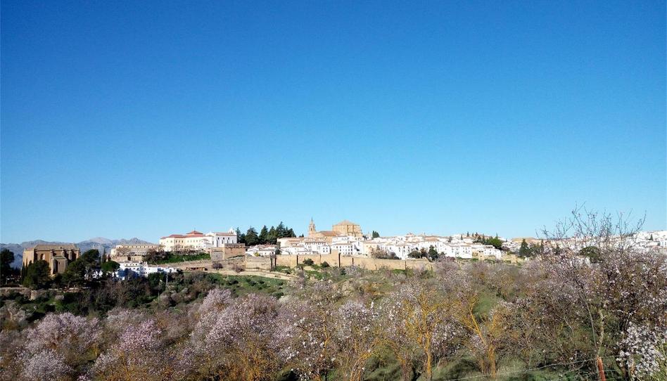 Finca rústica en venda a Calle Virgen de la Paz, Casco Histórico, Málaga - imatge 1 Foto 1 de Finca rústica en venda a Calle Virgen de la Paz, Casco Histórico, Málaga