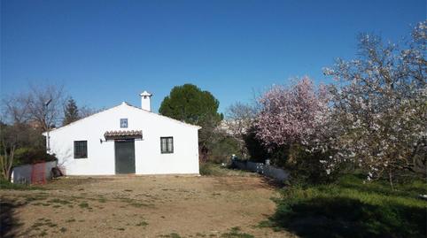 Finca rústica en venda a Calle Virgen de la Paz, Casco Histórico, Málaga - imatge 3 Foto 3 de Finca rústica en venda a Calle Virgen de la Paz, Casco Histórico, Málaga
