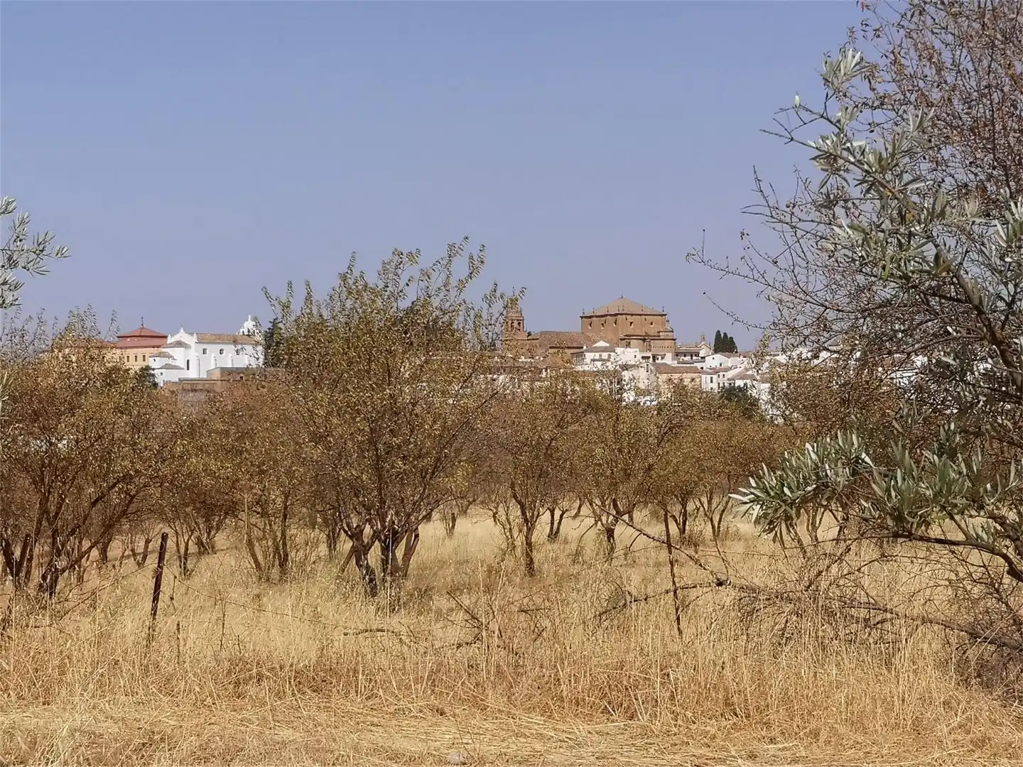 Finca rústica en venda a Calle Virgen de la Paz, Casco Histórico Vista exterior de Finca rústica en venda en Ronda amb Moblat