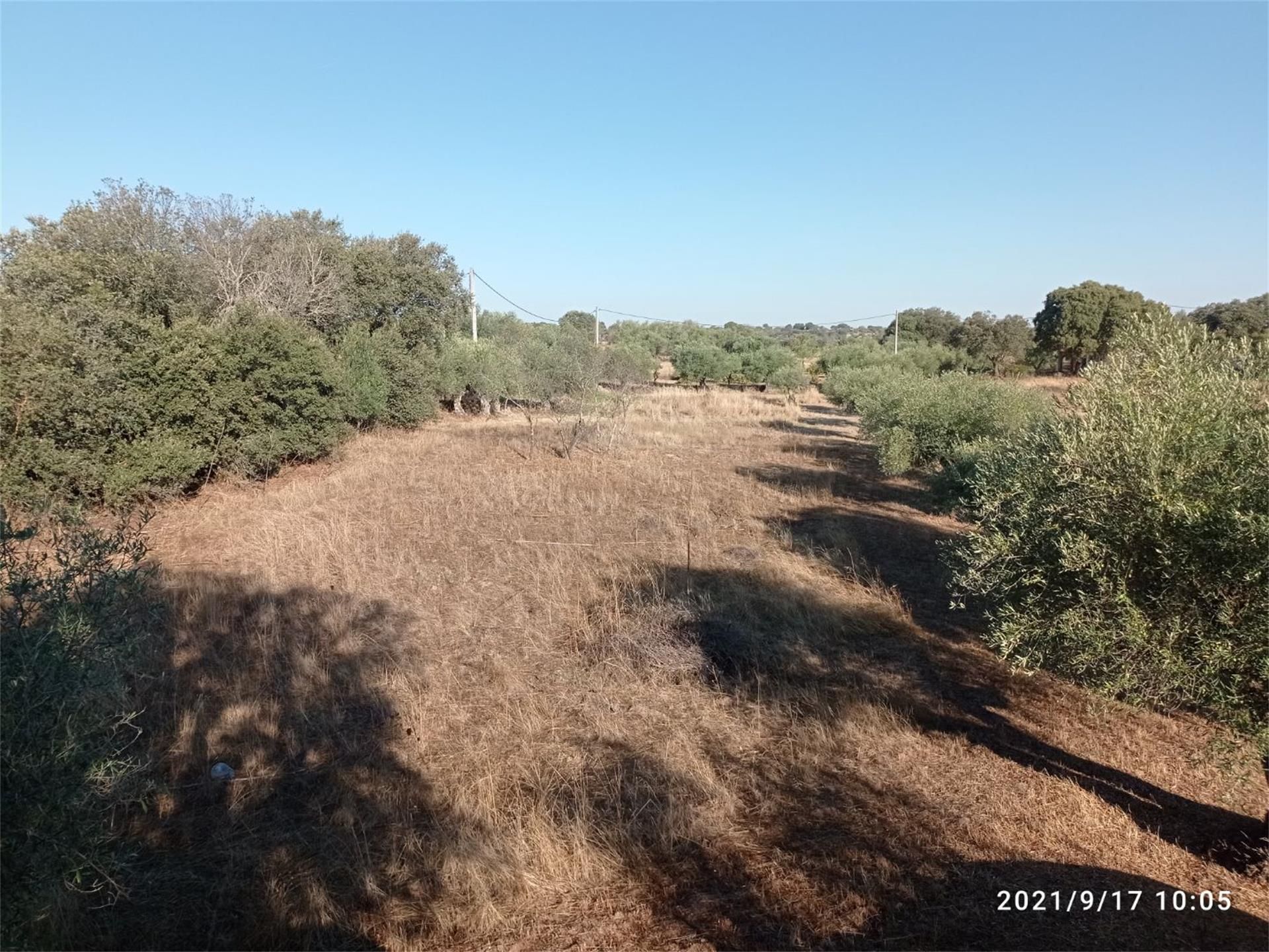 Finca rústica en venda en Arroyo de la Luz