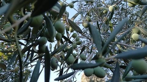 Photo 3 of Country house for sale in Calle Virgen de Guadalupe, Arroyo de la Luz, Cáceres