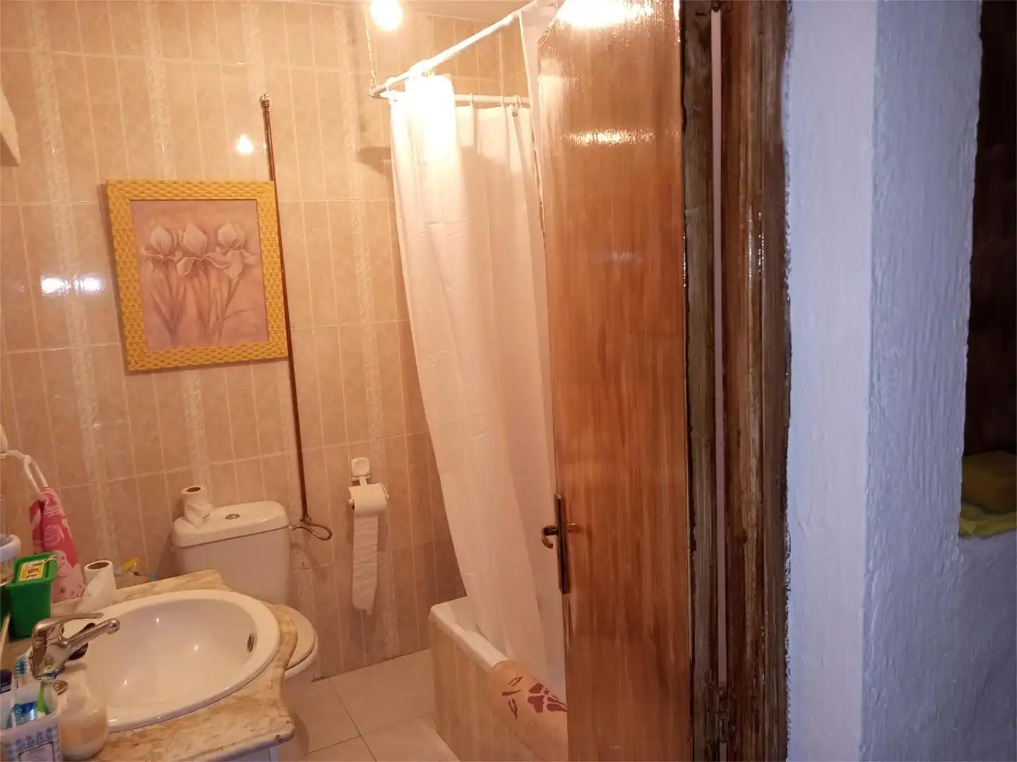Bathroom of Detached homes for sale in Las Mesas    with Furnished