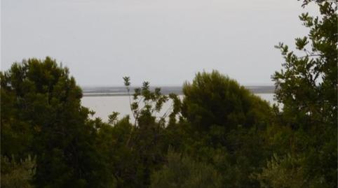 Foto 4 de Finca rústica en venta en Carrer Martinenca, Alcanar, Tarragona