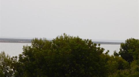 Foto 5 de Finca rústica en venta en Carrer Martinenca, Alcanar, Tarragona