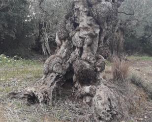 Jardí de Garatge en venda en Coín