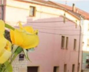 Vista exterior de Casa adosada en venda en Espinosa de Cerrato