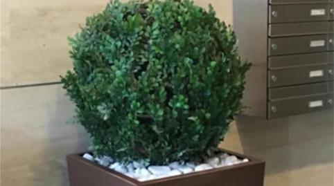 Flat to rent in Walk de Zorrilla, 13, Campo Grande, Valladolid - image 4 Photo 4 of Flat to rent in Walk de Zorrilla, 13, Campo Grande, Valladolid