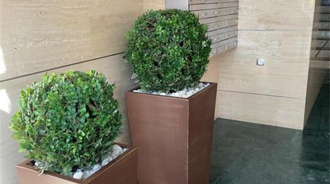 Flat to rent in Walk de Zorrilla, 13, Campo Grande, Valladolid - image 3 Photo 3 of Flat to rent in Walk de Zorrilla, 13, Campo Grande, Valladolid