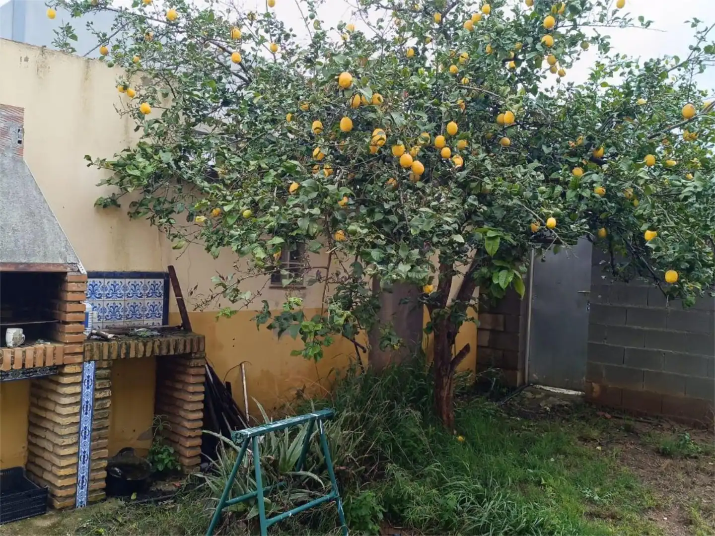 Jardín de Casa o chalet en venta en Carmona con Aire acondicionado, Terraza y Piscina