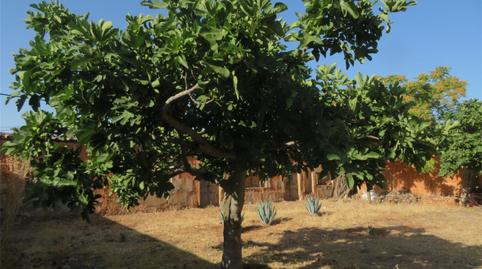 Foto 2 von Grundstücke zum Verkauf in Calle Real, 47, Alcubillas, Ciudad Real