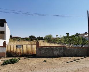 Constructible Land for sale in Ibahernando