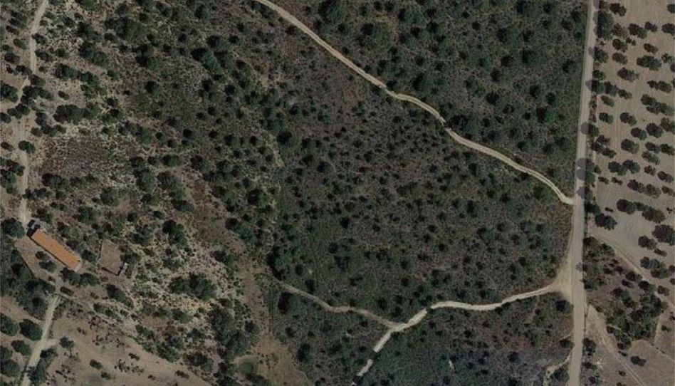 Finca rústica en venta en Carretera de Valdelosa a Zamayón, Valdelosa, Salamanca - imagen 1 Foto 1 de Finca rústica en venta en Carretera de Valdelosa a Zamayón, Valdelosa, Salamanca