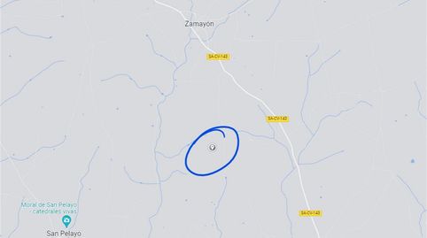 Finca rústica en venta en Carretera de Valdelosa a Zamayón, Valdelosa, Salamanca - imagen 4 Foto 4 de Finca rústica en venta en Carretera de Valdelosa a Zamayón, Valdelosa, Salamanca